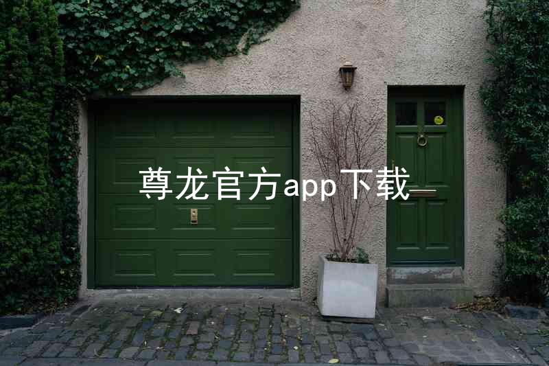 尊龙官方app下载